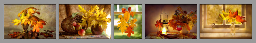 fotografie jesiennych liści w ciepłych kolorach