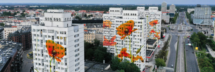 panorama miasta z wysoka, wieżowce, a na nicg namalowane kwiaty - maki